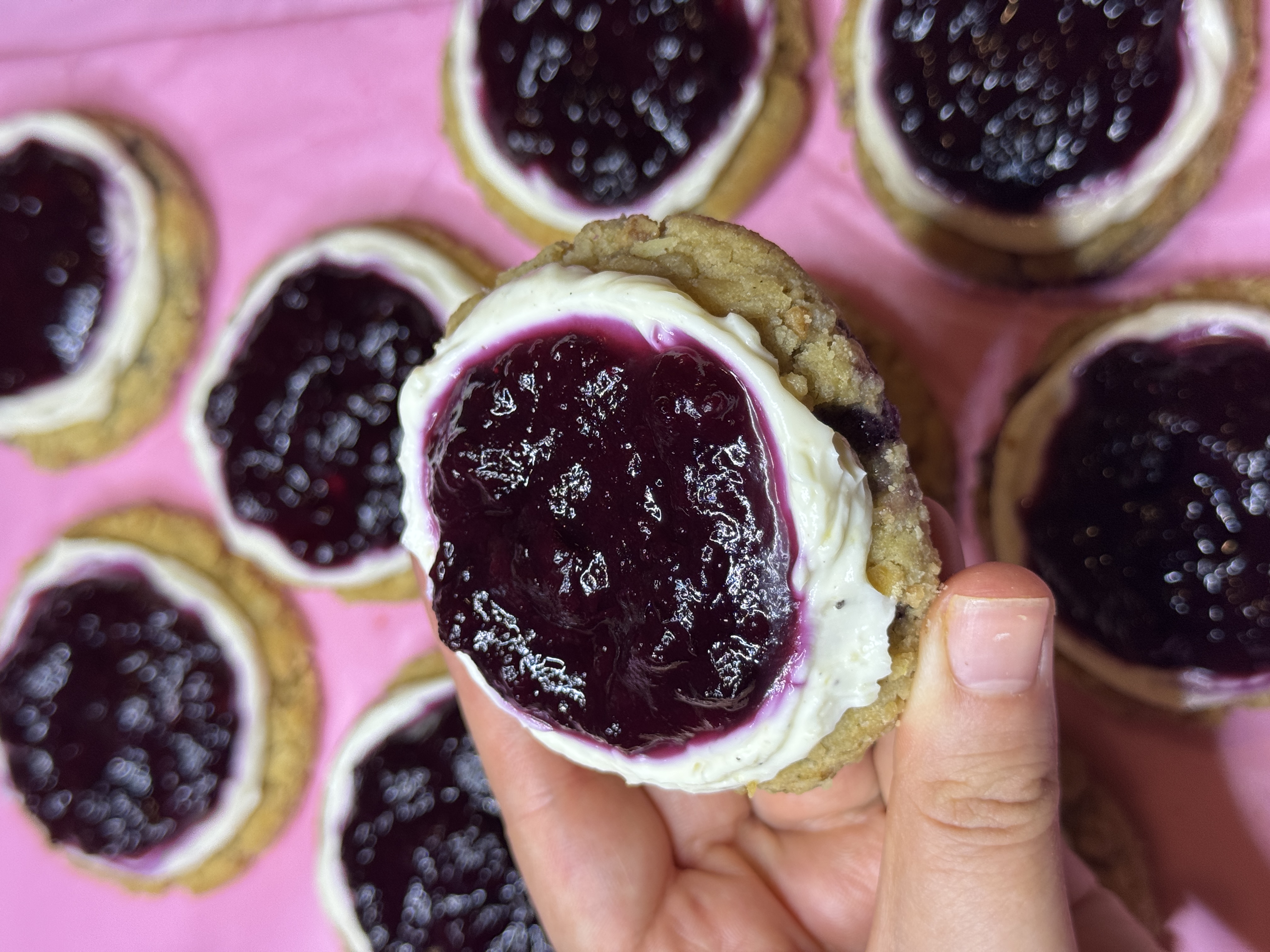Blåbär Cheesecake